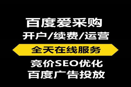 百度竞价排名策略解析：一家公司的广告投放策略全揭秘